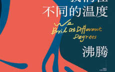 我们在不同的温度沸腾「pdf-epub-mobi-txt-azw3」