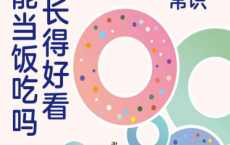 长得好看能当饭吃吗pdf,epub,mobi,txt 