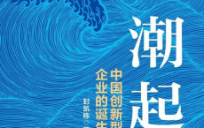 潮起：中国创新型企业的诞生「pdf-epub-mobi-txt」